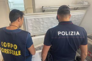 Catania, blatte in dispensa e lavoratori in nero: chiuso ristorante del borgo di Aci Trezza (VIDEO)