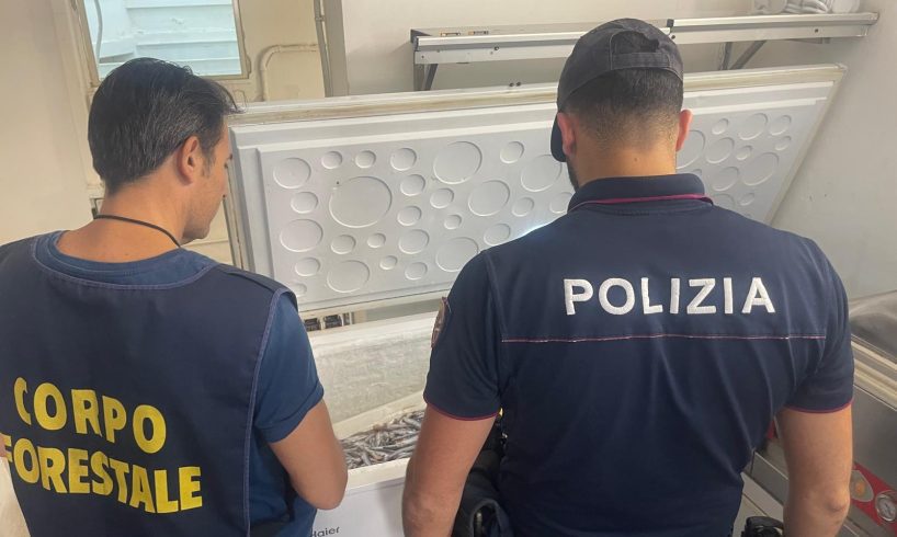 Catania, blatte in dispensa e lavoratori in nero: chiuso ristorante del borgo di Aci Trezza (VIDEO)