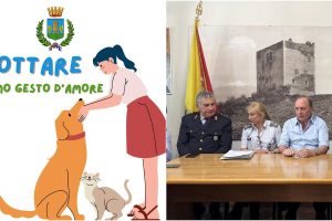 Paternò, sgravi sulla Tari fino a 300 euro per chi adotta un randagio: iniziativa del Comune