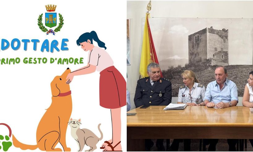 Paternò, sgravi sulla Tari fino a 300 euro per chi adotta un randagio: iniziativa del Comune