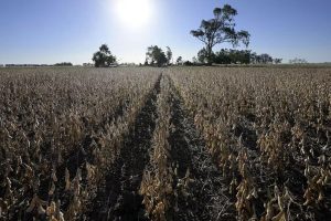 Ex agricoltore di Palagonia muore nel Siracusano per un infarto dovuto al caldo