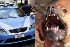 Catania, 31enne aizza il cane contro un commerciante per compiere una rapina: arrestato