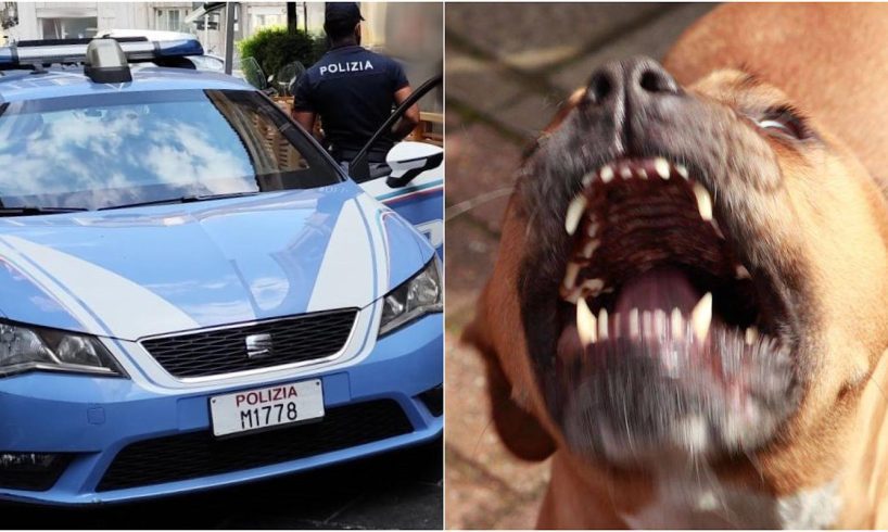 Catania, 31enne aizza il cane contro un commerciante per compiere una rapina: arrestato