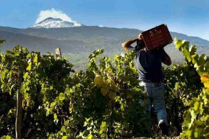 Etna Doc contro l’UE: “Delirio politico finanziare il vino sudafricano e ignorare le nostre eccellenze”