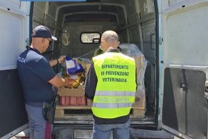 Catania, specialità del giorno: 40 kg di patatine fritte al sole. Conducente sanzionato per trasporto cibo senza frigo