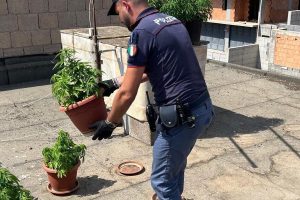 Biancavilla, serra di marijuana sul tetto di casa: 19enne scoperto dalla Polizia (VIDEO)