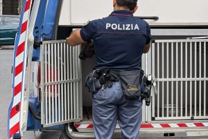 Catania, cocaina tra stoffe e imbottiture: 24enne arrestato in una tappezzeria a San Cristoforo (VIDEO)