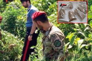 Giarre, scoperti 800 grammi di marijuana nascosti dietro un caminetto: arrestato 48enne incensurato