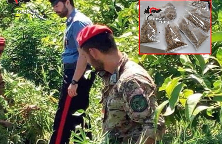 Giarre, scoperti 800 grammi di marijuana nascosti dietro un caminetto: arrestato 48enne incensurato