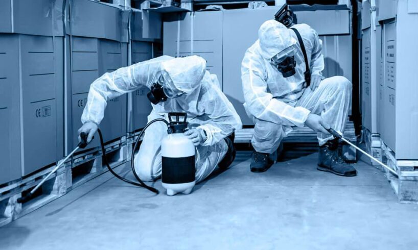 Disinfestazione e derattizzazione a Paternò e Belpasso: al via gli interventi nelle aree urbane e periferiche