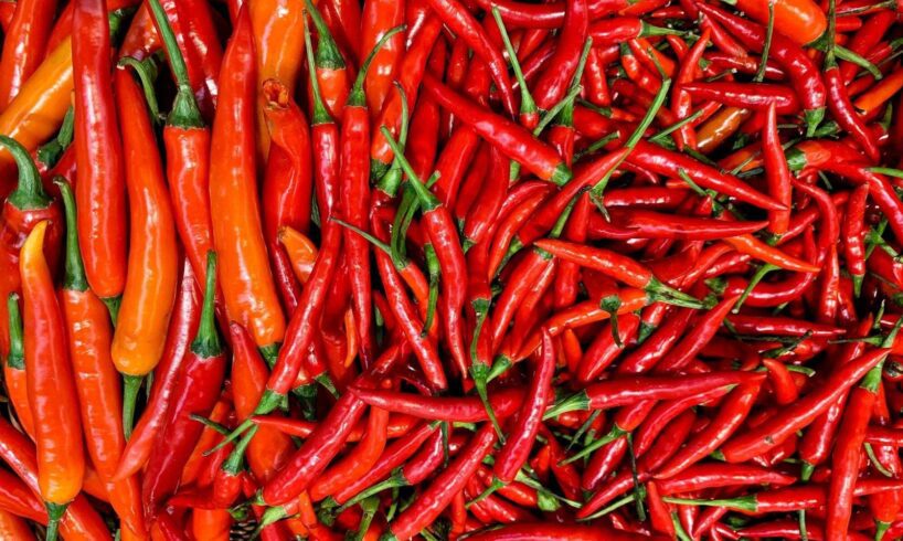 Giornata Nazionale del Peperoncino: la spezia piccante sale in cattedra