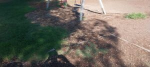 Paternò, Parco del Sole tra degrado e pericoli: monopattini e giochi rotti preoccupano residenti e famiglie