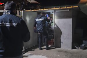 Catania, apina da 176mila euro con la minaccia di tagliare un dito e sequestrare una bambina (VIDEO)