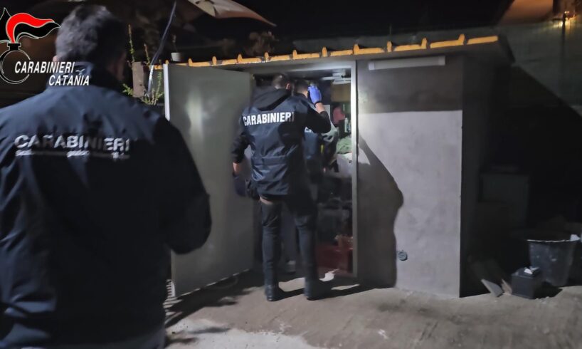 Catania, apina da 176mila euro con la minaccia di tagliare un dito e sequestrare una bambina (VIDEO)