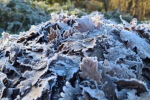Maltempo, l'inverno anticipato colpisce l'Italia: allerta gialla in Sicilia