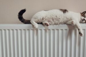 Riscaldamento, a Catania si accende il 1° dicembre: ecco quante ore al giorno e fino a quando