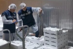 Catania, NAS blocca mille tonnellate di pesce surgelato e succo d'arancia: merce da 3 milioni