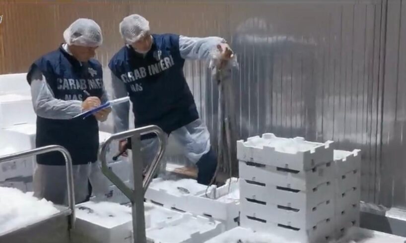 Catania, NAS blocca mille tonnellate di pesce surgelato e succo d'arancia: merce da 3 milioni