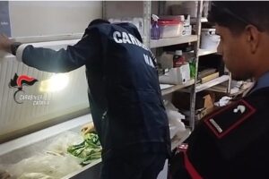 Bronte, Sagra del Pistacchio: sequestri e sanzioni per frodi sull'“oro verde”