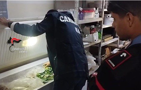 Bronte, Sagra del Pistacchio: sequestri e sanzioni per frodi sull'“oro verde”