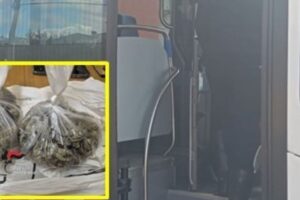 Randazzo, in autobus con 100 g di marijuana nello zaino: fermato minorenne