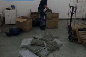 Catania, a San Cristoforo in un deposito scoperti 30 kg di marijuana: arrestato 45enne (VIDEO)