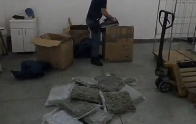 Catania, a San Cristoforo in un deposito scoperti 30 kg di marijuana: arrestato 45enne (VIDEO)