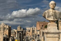 Il Seme e l'Altare: quando la terra ricorda la vita eterna