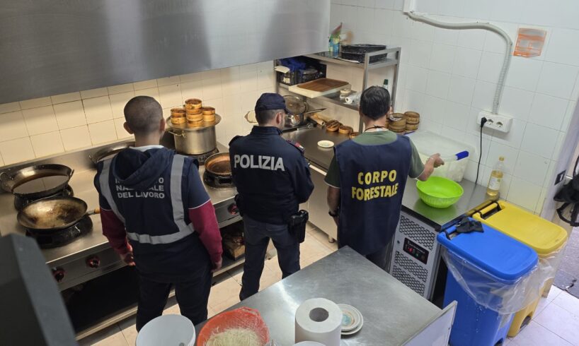 Maxi-controllo a Paternò: sequestrati 80 kg di pesce per sushi, sanzioni per 20mila euro tra lavoro nero e sicurezza (VIDEO)