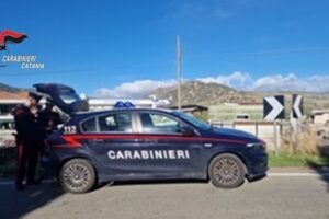 Trasporto animali irregolare a Maniace: scoperti mezzo non omologato e vitello "senza identità"