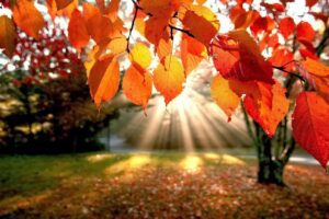 Meteo, Sicilia tra nubifragi e l'attesa dell'Estate di San Martino