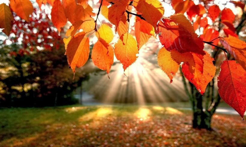 Meteo, Sicilia tra nubifragi e l'attesa dell'Estate di San Martino