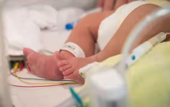 Torino, tentato infanticidio: neonata con la testa nel water dopo il parto. La madre indagata