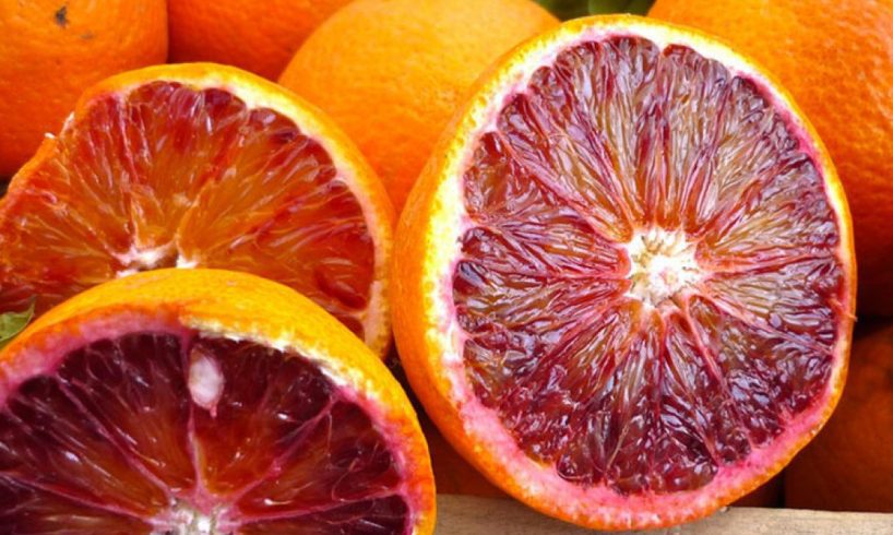 Arancia Rossa di Sicilia IGP conferma il terzo posto in Italia: produzione e valore in crescita: +8,4%