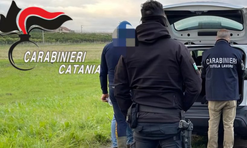Caporalato, controlli a Mineo e Scordia: 2 aziende agricole ferme e 29mila euro di sanzioni