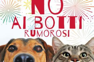Catania, Capodanno senza botti: il sindaco Trantino firma l'ordinanza di divieto assoluto per 48 ore