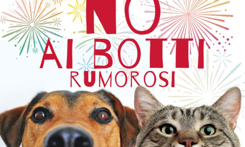 Catania, Capodanno senza botti: il sindaco Trantino firma l'ordinanza di divieto assoluto per 48 ore