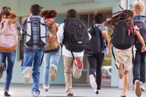 Sicilia, 41 nuovi indirizzi nelle scuole superiori dal 2026: a Palermo 14 corsi, sette a Catania