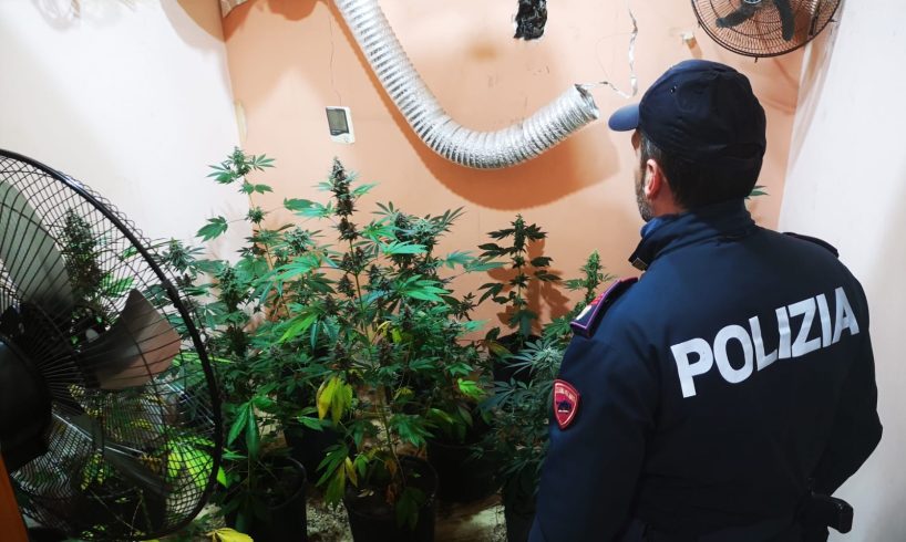 Adrano, serra indoor di marijuana nel centro abitato: arrestato 61enne
