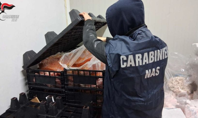 Catania, Nas sequestra 350 kg di ingredienti per il "sanguinaccio": frattaglie mal conservate