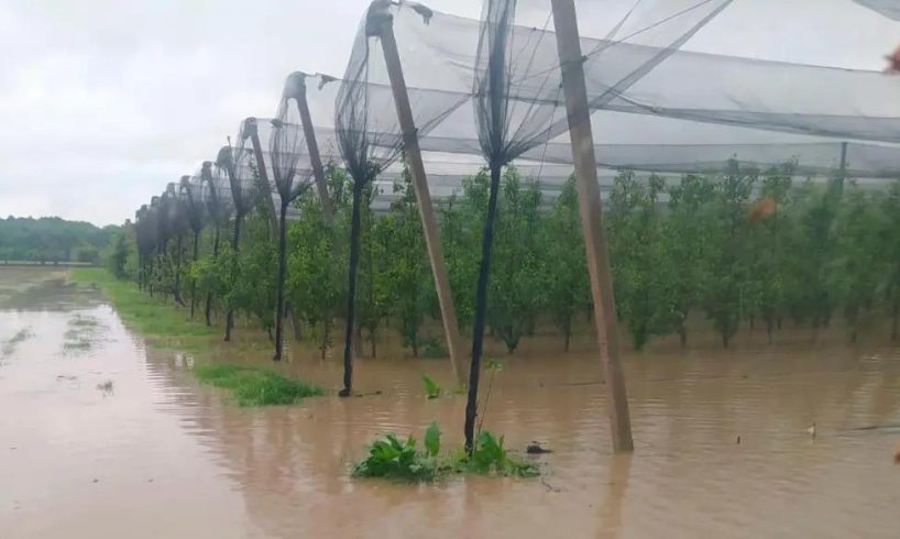 Maltempo flagella la Sicilia orientale, Confagricoltura lancia l’allarme: “Nuova emergenza per le campagne”