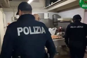 Catania, chiuso bar con blatte nella farina e 250 kg di cibi scaduti. Sanzioni per oltre 7mila euro (VIDEO)