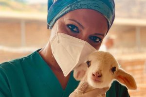 Nasce la Giornata Nazionale della Prevenzione Veterinaria: a Catania un evento divulgativo