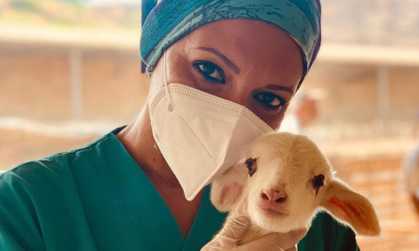 Nasce la Giornata Nazionale della Prevenzione Veterinaria: a Catania un evento divulgativo