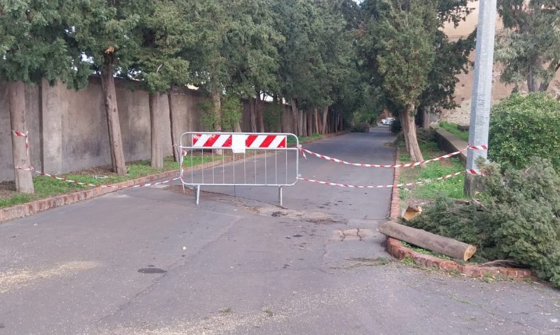 Ciclone Harry, alberi pericolanti a Paternò: chiusi viale degli Svevi e scalinata storica