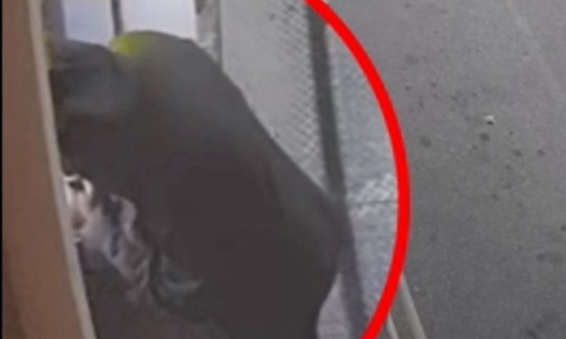 Premio Luigi Maina, Fondazione Sant’Agathae, Giuseppe Bellassai, Questore di Catania, Teatro Massimo Bellini, Sant’Agata, cultura Catania