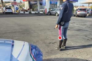 Catania, 10 vitellini nel cofano: strano "trasbordo" su un furgone in autostrada