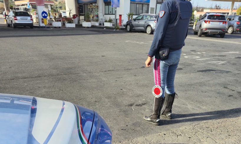 Catania, 10 vitellini nel cofano: strano "trasbordo" su un furgone in autostrada