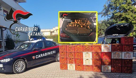 Ramacca, sventato maxi furto di arance: 54enne arrestato. Recuperate 1,5 tonnellate di agrumi