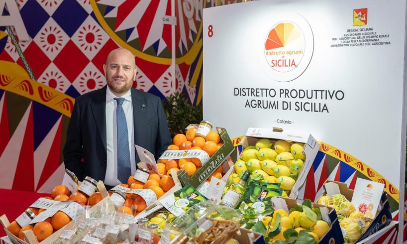 Agrumeti devastati dal maltempo, il Distretto di Sicilia scrive a Lollobrigida. "Subito stato di calamità”